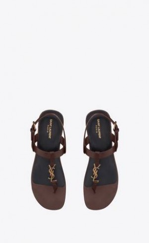 YSL Cassandre Sandals In Smooth Piele Ciocolata Inchis | Romania_YSL76570