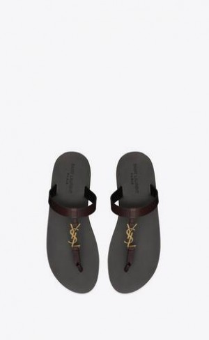 YSL Cassandre Slides In Smooth Piele Maro Inchis | Romania_YSL31002