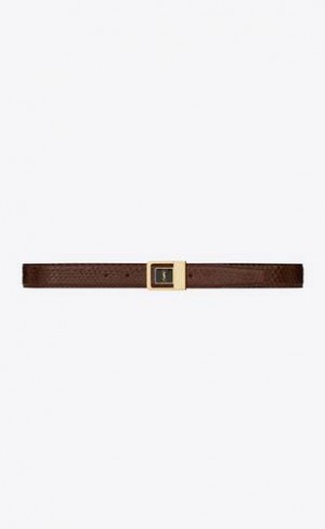 YSL La 66 Cu Catarama Python Maro Negrii | Romania_YSL44819