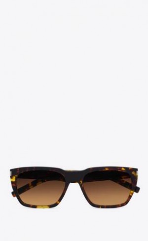YSL Sl 598 Negrii | Romania_YSL53420