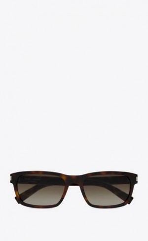 YSL Sl 662 Maro | Romania_YSL11341